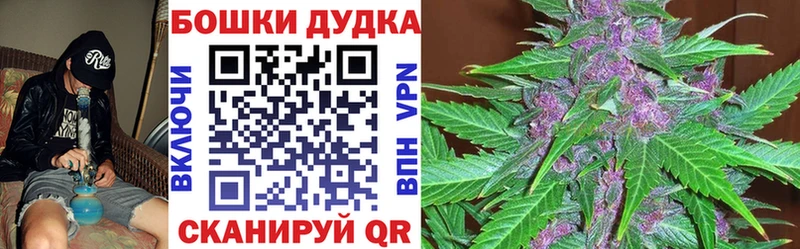 Конопля AK-47  Купить закладки  Бабаево 